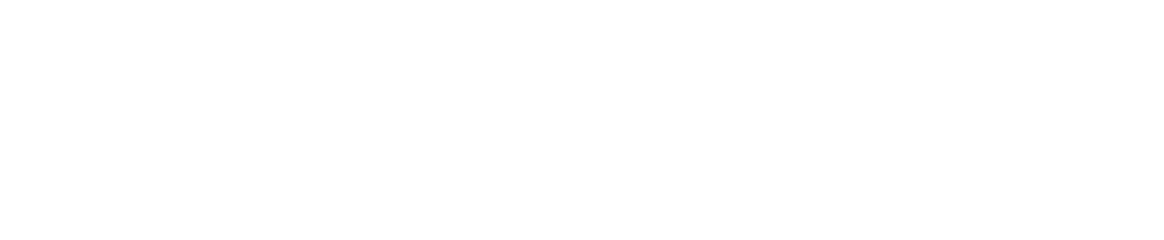 Scrum Essence